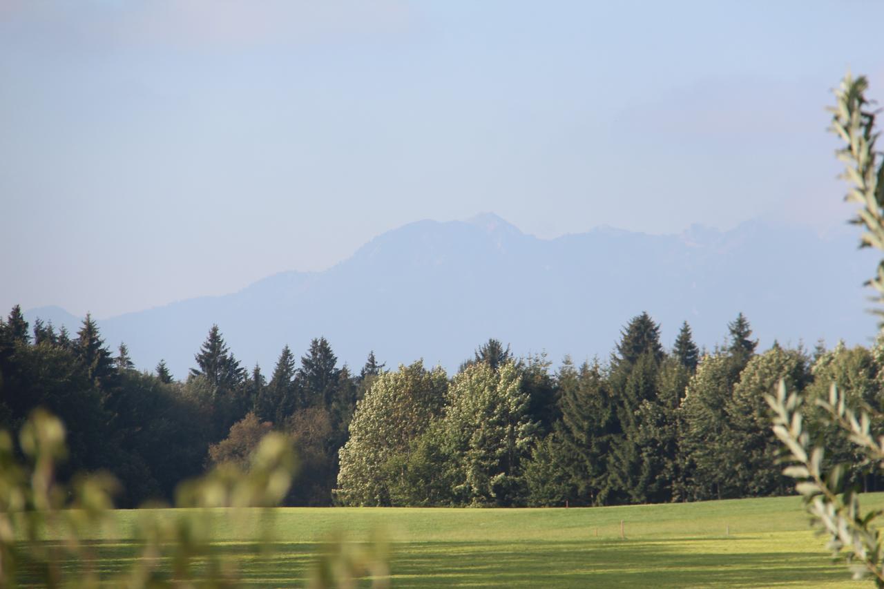 Hotel Alpenblick Riedering エクステリア 写真